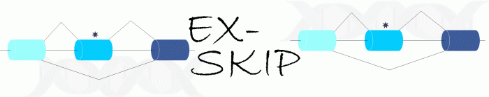 ex-skip banner